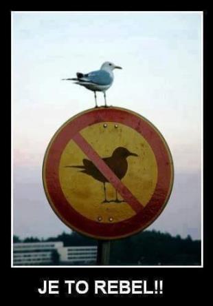 Creative 24bit cart 10w - TEST 6